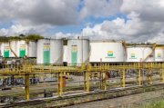 Petrobras planeja vender novo campo de petróleo a estrangeiros