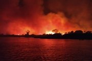 Veja imagens dos incêndios que acontecem no Pantanal com a conivência do governo Bolsonaro