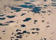Manchas de óleo chegam a 8 cidades na Bahia após atingir mais de 132 praias no NE