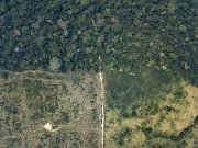 Desmatamento em Terras Indígenas cresceram 138% durante os três anos do Governo Bolsonaro