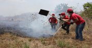 Polícia prende 4 brigadistas de ONG, sob acusação de incêndio criminoso em região do Pará