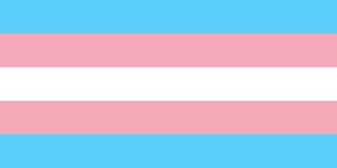 Transsexuais foram um destaque nas eleições municipais em 2016