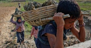 Pesquisa revela a realidade assustadora do trabalho infantil no Brasil