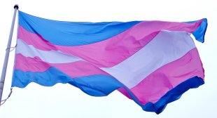 52% dos alunos trans, travestis e não-binários da USP denunciam preconceito da instituição