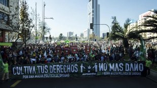Chile caminha para legalizar a produção individual de maconha