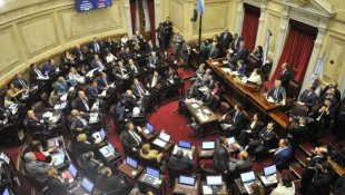 Casta privilegiada: Senadores que votaram contra o aborto legal ganham até US $ 200 mil