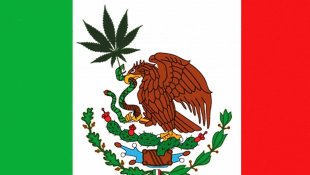 México: uma legalização limitada, mas que pode abrir muitas portas