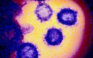 Coronavírus no RN em números: Fátima administra a catástrofe e não proíbe as demissões