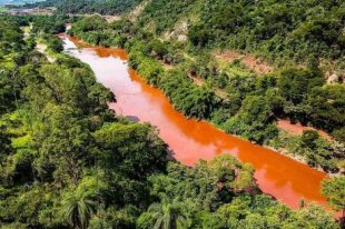 Crime em Brumadinho contamina também águas de rio Paraopeba