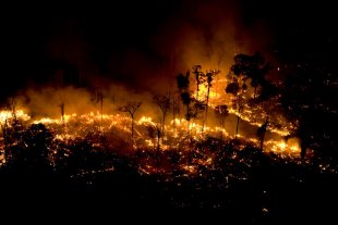 Em 4 dias foram registrados 1129 chamados de incêndio em 17 unidades de conservação