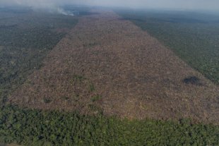 Desmatamento da Amazônia cresce 29% em 2021 e tem a pior marca da última década