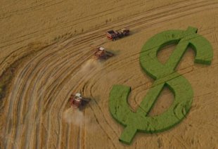 Banco do Brasil abre portas para o agronegócio enquanto fecha para a população
