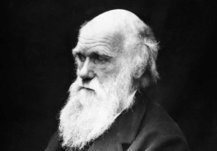 Programa para educação de Bolsonaro enxerga Charles Darwin e Evolução como "doutrinação"