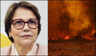 Tereza Cristina defende criadores de gado do Pantanal em meio aos incêndios criminosos