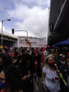 Marcha do 20N reúne centenas de pessoas na capital do RJ