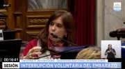 Direito ao aborto: Cristina Kirchner falou e pediu "para não ficar com raiva" da Igreja
