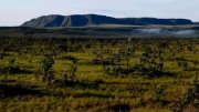 Desmatamento de áreas protegidas no Cerrado aumentam 15% expondo política de Bolsonaro 