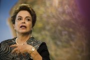 Dilma diz que ‘estamos perdendo a guerra contra o mosquito'. Não aceitemos!