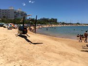 Vereador tucano de BH usa praia como helipouso