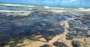 Petróleo derramado: o “desastre” ambiental no nordeste que demorará décadas para ser reparado