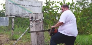 Reivindicando Bolsonaro, deputado usa motosserra contra bloqueio em Terra Indígena de Roraima