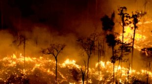 No Brasil do agronegócio, todo ano é colocado fogo em uma área maior do que a Inglaterra