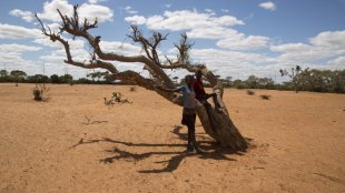 Atingidos pela mudança climática: 400.000 À beira da fome em Madagascar