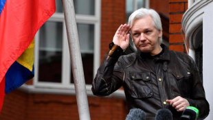 Dura sentença contra Assange: cinquenta semanas de prisão por violar a liberdade condicional