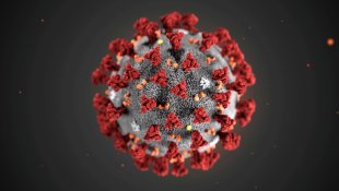 SP confirma dois casos da nova variante do coronavírus no estado