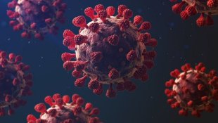Novas variantes do Coronavírus: testes e sequenciamento massivos já!