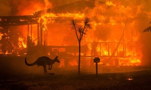 Austrália em chamas: mortos, desaparecidos, milhares de desabrigados e milhões de animais dizimados