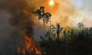 Após recordes de desmatamento, Bolsonaro vai à Cúpula do Clima mentir para o mundo