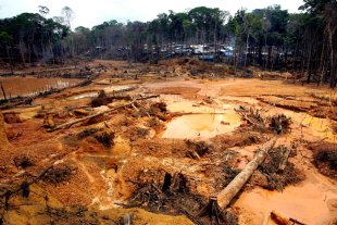 Segue tramitação da MP que legaliza desmatamento na Amazônia, e Alemanha reduz verbas