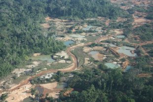 Amazônia atormentada: desmatamento e recordes de indígenas assassinados