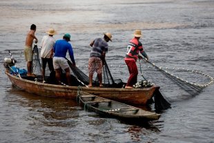 Além de desempregados, Programa Verde Amarelo taxará pescadores