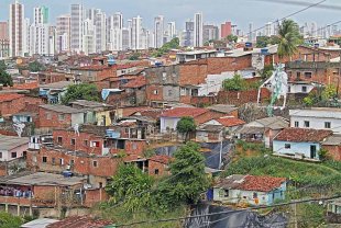 Coletivos do Recife se organizam para promover ações de solidariedade e difusão de informações nas favelas