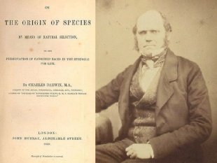Charles Darwin: o naturalista que revolucionou a biologia