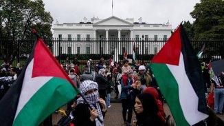 O movimento de solidariedade à Palestina: um “Vietnã” da nossa geração?