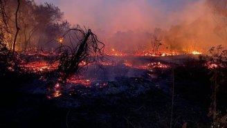Incêndio avança em Parque Nacional Serra do Cipó, em Minas Gerais