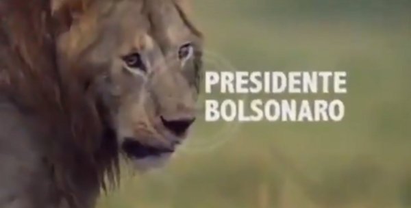 PIADA: Bolsonaro posta vídeo em que ele é leão e adversário são hienas