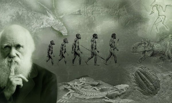 Núcleo Charles Darwin da USP protesta contra criacionismo de novo presidente da CAPES