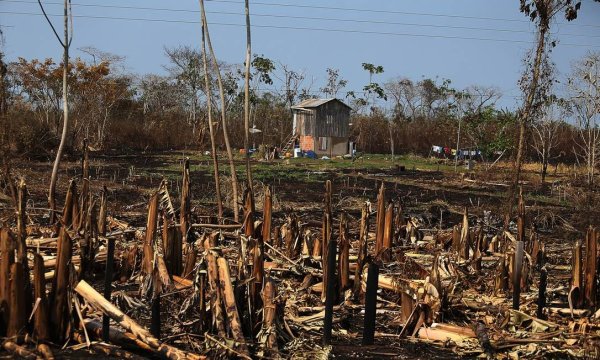 A política de desmatamento de Bolsonaro e a Resex Chico Mendes ameaçada