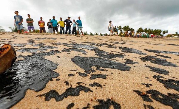 Corais da baía de Todos os Santos (BA) são poluídos por petróleo e ganância capitalista