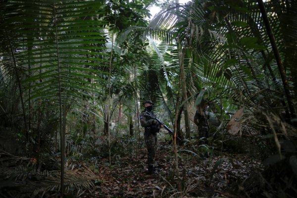 Intervenção milionária das Forças Armadas na Amazônia não diminuíram desmatamento em 16 meses